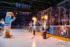 HC Slovan Bratislava - HK Dukla Michalovce HC Slovan Bratislava - HK Dukla Michalovce