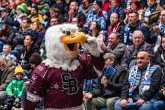 HC Slovan Bratislava - HK Dukla Trenčín HC Slovan Bratislava - HK Dukla Trenčín