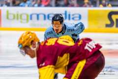 HC Slovan Bratislava - HK Dukla Trenčín HC Slovan Bratislava - HK Dukla Trenčín