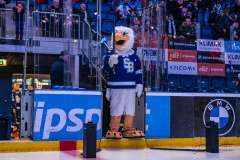 HC Slovan Bratislava - HK Nitra HC Slovan Bratislava - HK Nitra