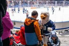 HC Slovan Bratislava - HK Nitra HC Slovan Bratislava - HK Nitra