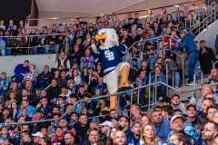 HC Slovan Bratislava - HK Nitra HC Slovan Bratislava - HK Nitra