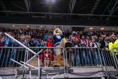 HC Slovan Bratislava - HK Nitra HC Slovan Bratislava - HK Nitra