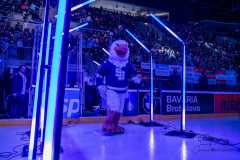 HC Slovan Bratislava - HK Nitra HC Slovan Bratislava - HK Nitra