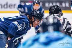 HC Slovan Bratislava - HK Nitra HC Slovan Bratislava - HK Nitra