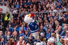 HC Slovan Bratislava - HK Nitra HC Slovan Bratislava - HK Nitra