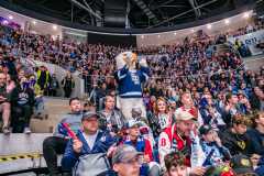 HC Slovan Bratislava - HK Nitra HC Slovan Bratislava - HK Nitra