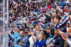 HC Slovan Bratislava - HK Nitra HC Slovan Bratislava - HK Nitra