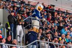 HC Slovan Bratislava - HK Nitra HC Slovan Bratislava - HK Nitra