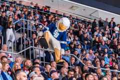 HC Slovan Bratislava - HK Nitra HC Slovan Bratislava - HK Nitra