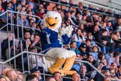 HC Slovan Bratislava - HK Nitra HC Slovan Bratislava - HK Nitra