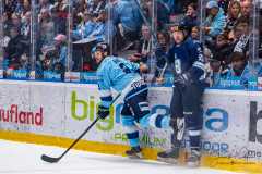 HC Slovan Bratislava - HK Nitra HC Slovan Bratislava - HK Nitra