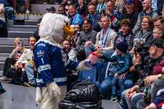 HC Slovan Bratislava - HK Nitra HC Slovan Bratislava - HK Nitra