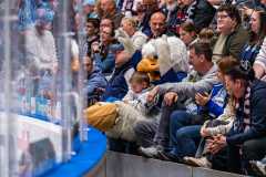 HC Slovan Bratislava - HK Nitra HC Slovan Bratislava - HK Nitra