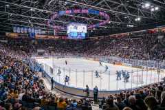 HC Slovan Bratislava - HK Nitra HC Slovan Bratislava - HK Nitra