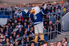 HC Slovan Bratislava - HK Nitra HC Slovan Bratislava - HK Nitra