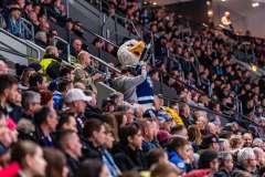 HC Slovan Bratislava - HK Nitra HC Slovan Bratislava - HK Nitra