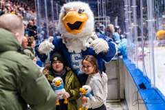 HC Slovan Bratislava - HK Nitra HC Slovan Bratislava - HK Nitra