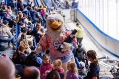 HC Slovan Bratislava - HK Spišská Nová Ves HC Slovan Bratislava - HK Spišská Nová Ves