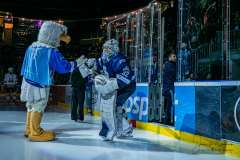 HC Slovan Bratislava - HK Spišská Nová Ves HC Slovan Bratislava - HK Spišská Nová Ves