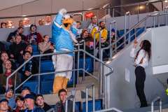 HC Slovan Bratislava - HKM Zvolen HC Slovan Bratislava - HKM Zvolen