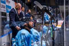 HC Slovan Bratislava - HKM Zvolen HC Slovan Bratislava - HKM Zvolen