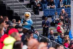 HC Slovan Bratislava - HKM Zvolen HC Slovan Bratislava - HKM Zvolen