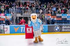 HC Slovan Bratislava - HKM Zvolen HC Slovan Bratislava - HKM Zvolen