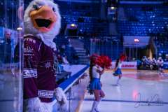 HC Slovan Bratislava - HKM Zvolen HC Slovan Bratislava - HKM Zvolen