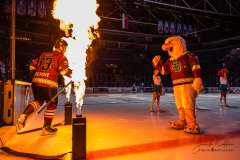 HC Slovan Bratislava - HKM Zvolen HC Slovan Bratislava - HKM Zvolen