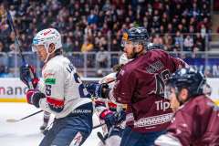 HC Slovan Bratislava - HKM Zvolen HC Slovan Bratislava - HKM Zvolen