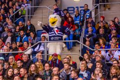 HC Slovan Bratislava - Jokerit Helsinki HC Slovan Bratislava - Jokerit Helsinki