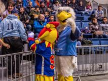 HC Slovan Bratislava - Jokerit Helsinki HC Slovan Bratislava - Jokerit Helsinki