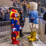 HC Slovan Bratislava - Jokerit Helsinki HC Slovan Bratislava - Jokerit Helsinki