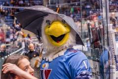 HC Slovan Bratislava - Jokerit Helsinki HC Slovan Bratislava - Jokerit Helsinki