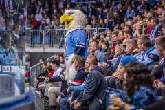 HC Slovan Bratislava - Jokerit Helsinky HC Slovan Bratislava - Jokerit Helsinky