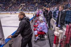 HC Slovan Bratislava - Jokerit Helsinky HC Slovan Bratislava - Jokerit Helsinky