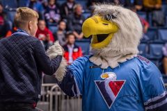 HC Slovan Bratislava - Jokerit Helsinky HC Slovan Bratislava - Jokerit Helsinky