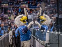 HC Slovan Bratislava - Jokerit Helsinky HC Slovan Bratislava - Jokerit Helsinky