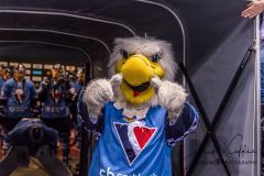 HC Slovan Bratislava - Lokomotiv Yaroslavl HC Slovan Bratislava - Lokomotiv Yaroslavl