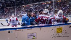 HC Slovan Bratislava - Lokomotiv Yaroslavl HC Slovan Bratislava - Lokomotiv Yaroslavl
