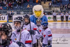 HC Slovan Bratislava - HC Sochi HC Slovan Bratislava - HC Sochi