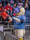 HC Slovan Bratislava - Jokerit Helsinky HC Slovan Bratislava - Jokerit Helsinky