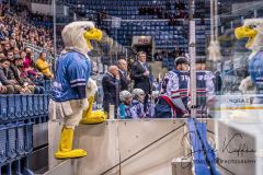 HC Slovan Bratislava - Neftekhimik Nizhnekamsk HC Slovan Bratislava - Neftekhimik Nizhnekamsk