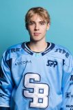 Profilovky HC Slovan Bratislava Profilovky HC Slovan Bratislava
