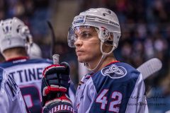 HC Slovan Bratislava - Neftekhimik Nizhnekamsk HC Slovan Bratislava - Neftekhimik Nizhnekamsk