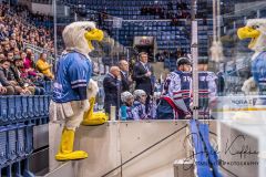 HC Slovan Bratislava - Neftekhimik Nizhnekamsk HC Slovan Bratislava - Neftekhimik Nizhnekamsk