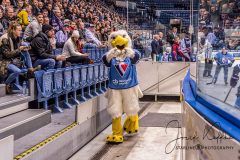 HC Slovan Bratislava - Neftekhimik Nizhnekamsk HC Slovan Bratislava - Neftekhimik Nizhnekamsk