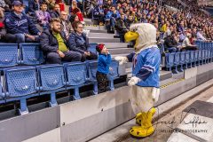 HC Slovan Bratislava - Neftekhimik Nizhnekamsk HC Slovan Bratislava - Neftekhimik Nizhnekamsk