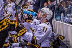 HC Slovan Bratislava - Severstal Cherepovets HC Slovan Bratislava - Severstal Cherepovets